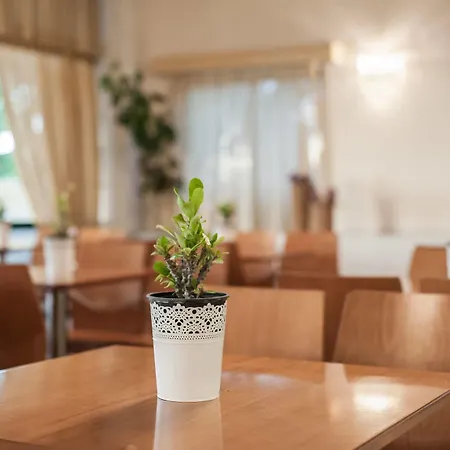 Phoenix Hotel Plános