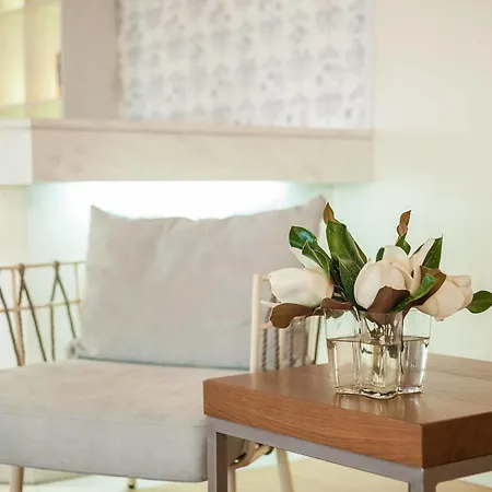 Hotel Phoenix Plános